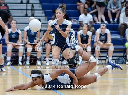 Thumbnail 3 in Lovejoy @ Wylie East photogallery.