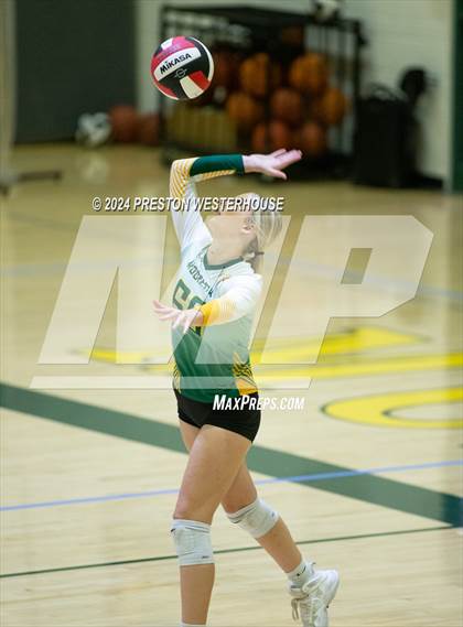 Thumbnail 1 in Royal @ Moorpark photogallery.