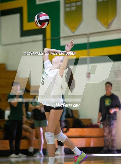 Thumbnail 3 in Royal @ Moorpark photogallery.