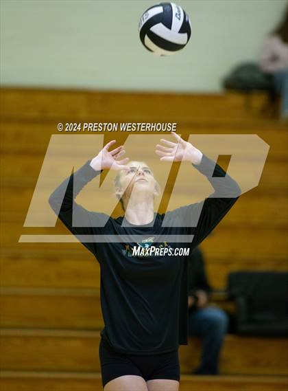 Thumbnail 2 in Royal @ Moorpark photogallery.