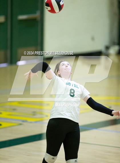 Thumbnail 3 in Royal @ Moorpark photogallery.