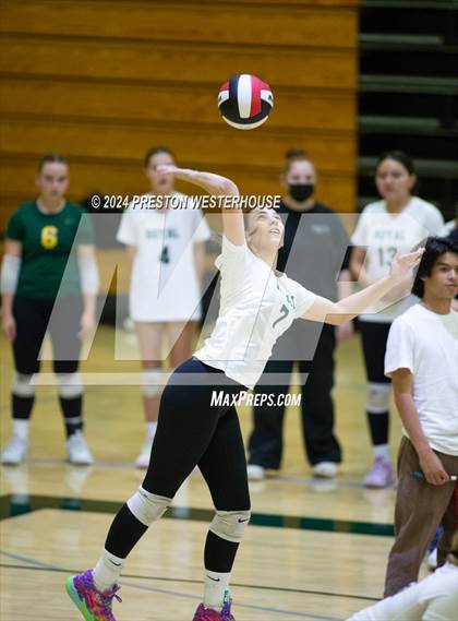 Thumbnail 1 in Royal @ Moorpark photogallery.