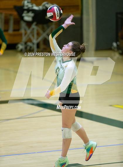 Thumbnail 2 in Royal @ Moorpark photogallery.
