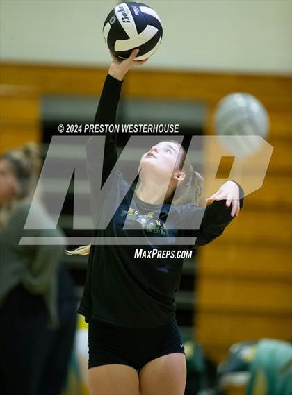 Thumbnail 3 in Royal @ Moorpark photogallery.