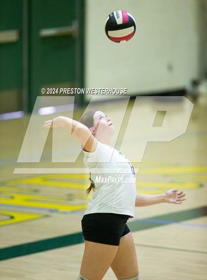 Thumbnail 2 in Royal @ Moorpark photogallery.