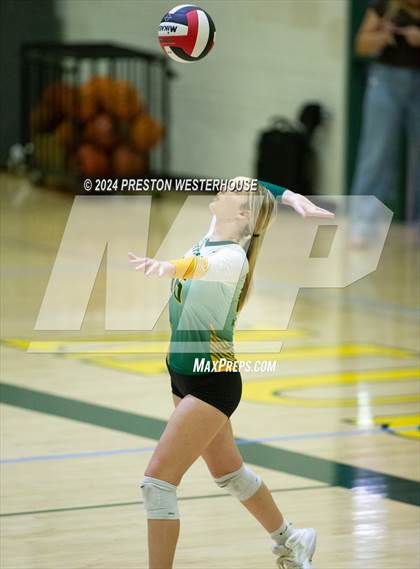 Thumbnail 3 in Royal @ Moorpark photogallery.
