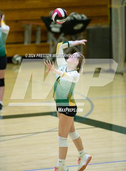 Thumbnail 3 in Royal @ Moorpark photogallery.
