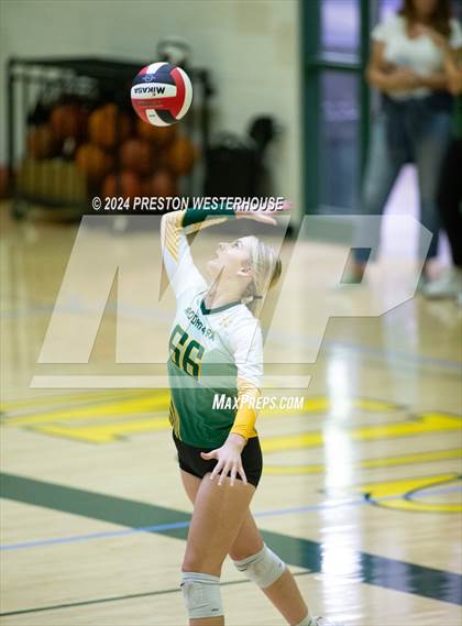 Thumbnail 2 in Royal @ Moorpark photogallery.