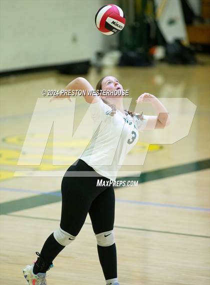 Thumbnail 1 in Royal @ Moorpark photogallery.