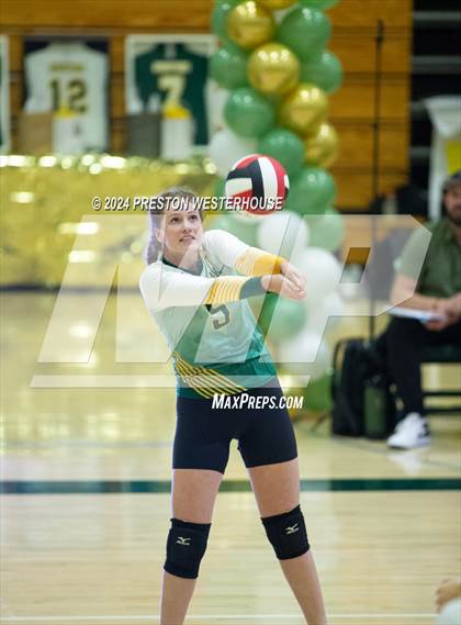 Thumbnail 2 in Royal @ Moorpark photogallery.
