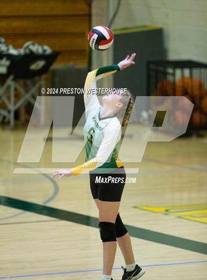 Thumbnail 2 in Royal @ Moorpark photogallery.