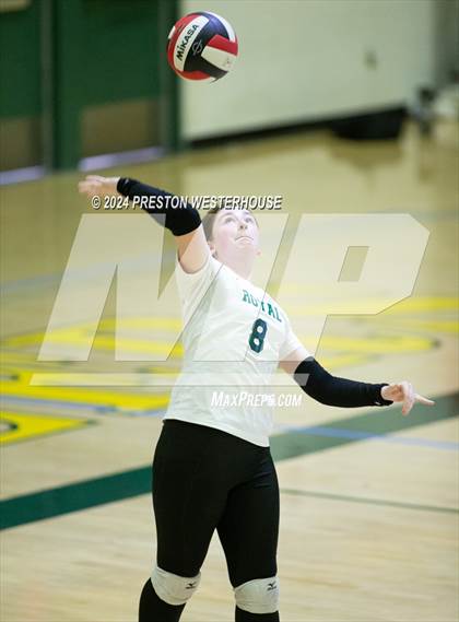 Thumbnail 1 in Royal @ Moorpark photogallery.