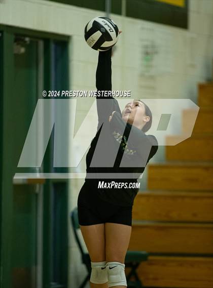 Thumbnail 2 in Royal @ Moorpark photogallery.