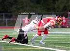 Photo from the gallery "Cedarcrest @ Newport - Bellevue"