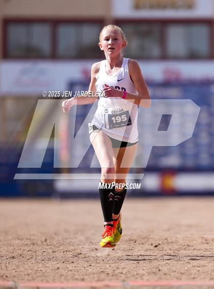 Thumbnail 3 in CHSAA 4A Cross Country Final photogallery.