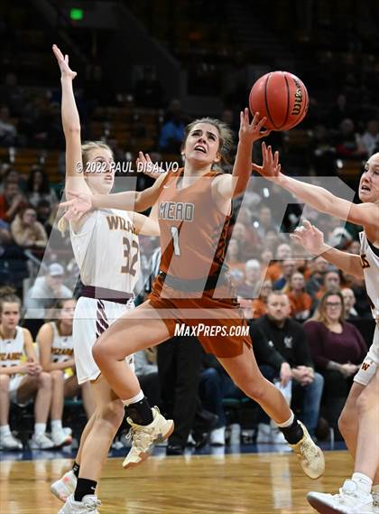 Thumbnail 3 in Mead vs. Windsor (CHSAA 4A Final Four) photogallery.
