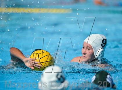 Thumbnail 1 in North/South Medford @ Sheldon  photogallery.