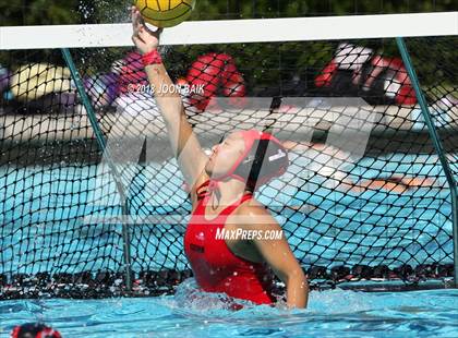 Thumbnail 3 in Gunn vs Saint Francis photogallery.