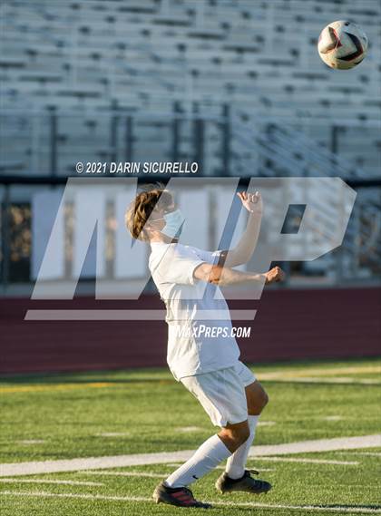 Thumbnail 1 in Basha @ Maricopa photogallery.