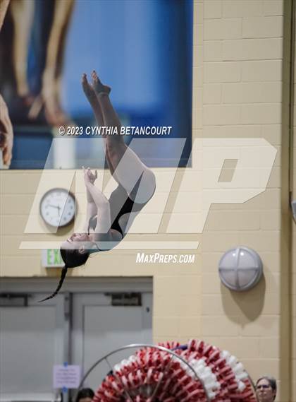 Thumbnail 1 in CHSAA 5A Girls Dive Championship photogallery.