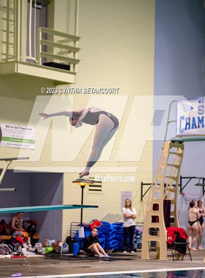 Thumbnail 1 in CHSAA 5A Girls Dive Championship photogallery.