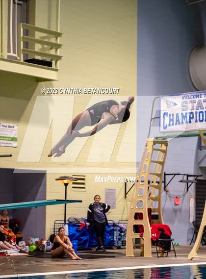 Thumbnail 1 in CHSAA 5A Girls Dive Championship photogallery.