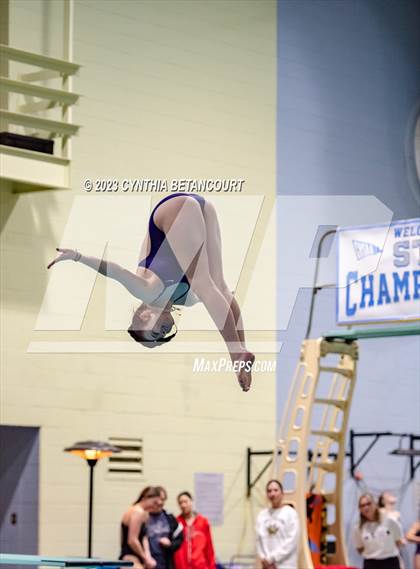 Thumbnail 1 in CHSAA 5A Girls Dive Championship photogallery.