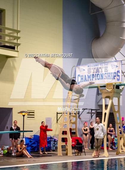 Thumbnail 2 in CHSAA 5A Girls Dive Championship photogallery.