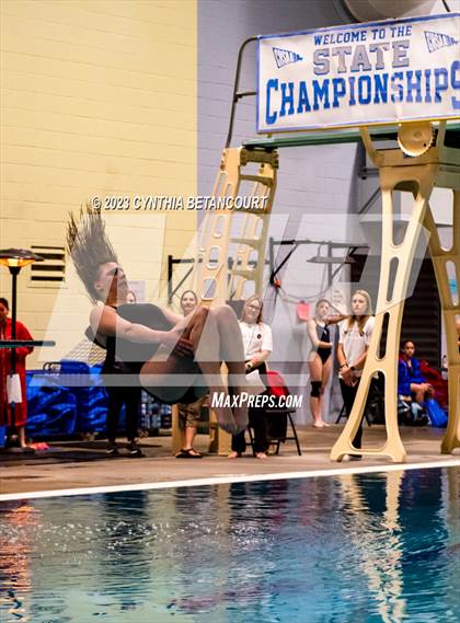 Thumbnail 2 in CHSAA 5A Girls Dive Championship photogallery.