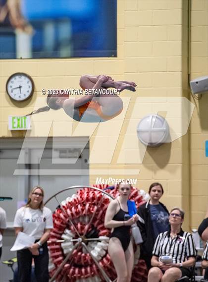 Thumbnail 1 in CHSAA 5A Girls Dive Championship photogallery.