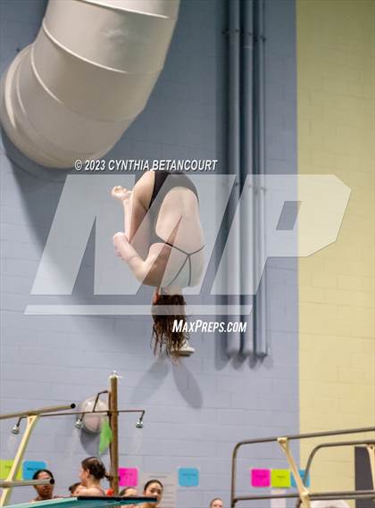 Thumbnail 1 in CHSAA 5A Girls Dive Championship photogallery.