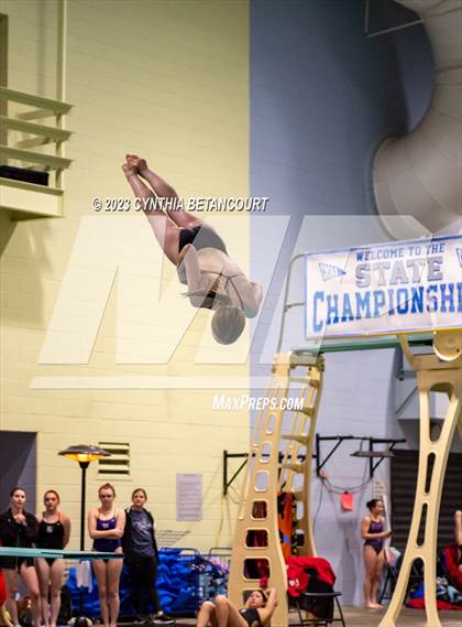 Thumbnail 1 in CHSAA 5A Girls Dive Championship photogallery.