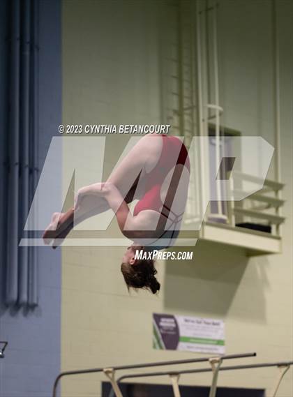 Thumbnail 2 in CHSAA 5A Girls Dive Championship photogallery.