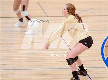 Thumbnail 2 in Ponderosa @ Highlands Ranch photogallery.