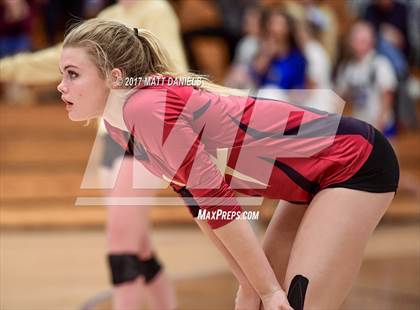 Thumbnail 3 in Ponderosa @ Highlands Ranch photogallery.