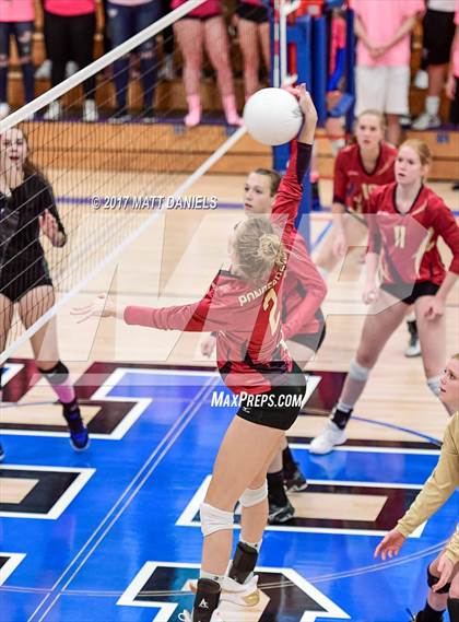Thumbnail 1 in Ponderosa @ Highlands Ranch photogallery.