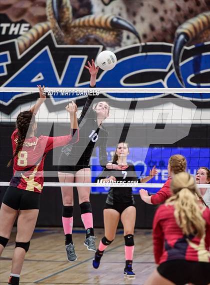 Thumbnail 3 in Ponderosa @ Highlands Ranch photogallery.