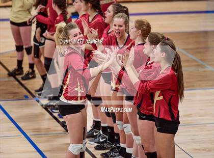Thumbnail 2 in Ponderosa @ Highlands Ranch photogallery.