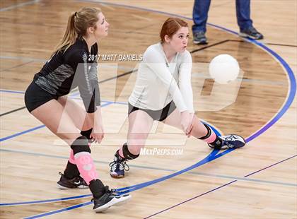 Thumbnail 2 in Ponderosa @ Highlands Ranch photogallery.