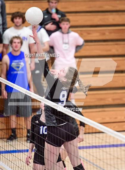 Thumbnail 3 in Ponderosa @ Highlands Ranch photogallery.