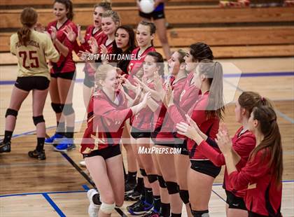 Thumbnail 3 in Ponderosa @ Highlands Ranch photogallery.