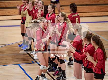 Thumbnail 2 in Ponderosa @ Highlands Ranch photogallery.