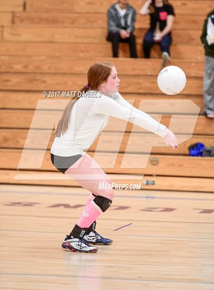 Thumbnail 3 in Ponderosa @ Highlands Ranch photogallery.