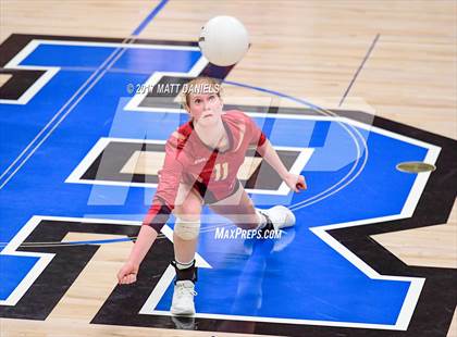 Thumbnail 1 in Ponderosa @ Highlands Ranch photogallery.