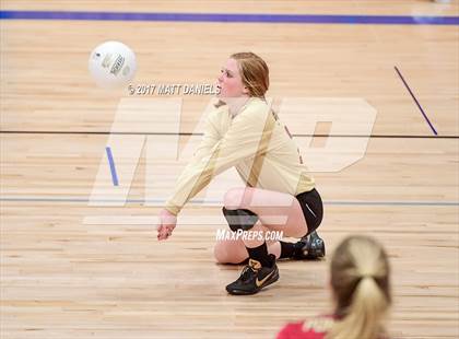 Thumbnail 3 in Ponderosa @ Highlands Ranch photogallery.