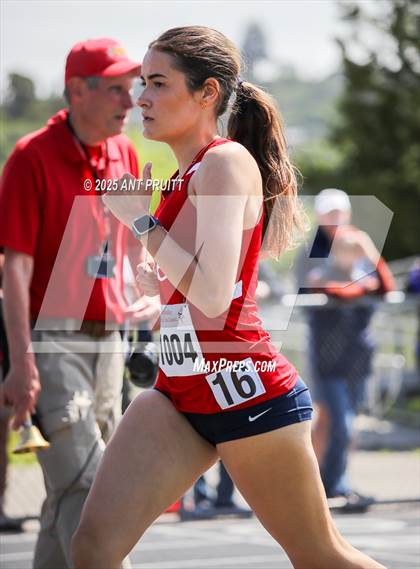 Thumbnail 2 in Bryan Bradley Viking Track Classic (800m) photogallery.