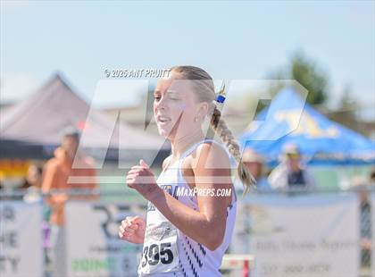 Thumbnail 2 in Bryan Bradley Viking Track Classic (800m) photogallery.