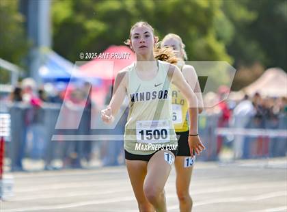Thumbnail 1 in Bryan Bradley Viking Track Classic (800m) photogallery.