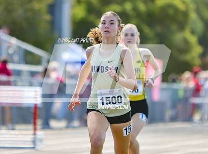 Thumbnail 2 in Bryan Bradley Viking Track Classic (800m) photogallery.