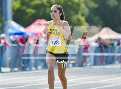 Thumbnail 1 in Bryan Bradley Viking Track Classic (800m) photogallery.